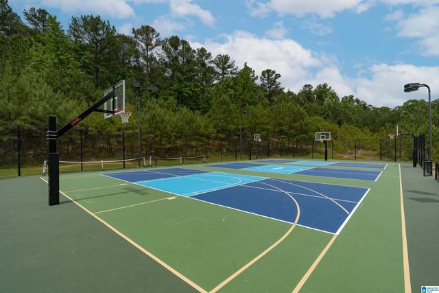 1125 OVERLOOK DRIVE, Trussville, AL 35173