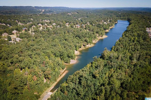 1125 OVERLOOK DRIVE, Trussville, AL 35173