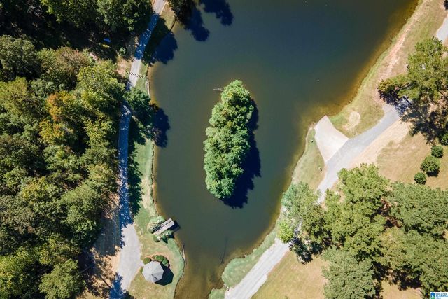 1125 OVERLOOK DRIVE, Trussville, AL 35173