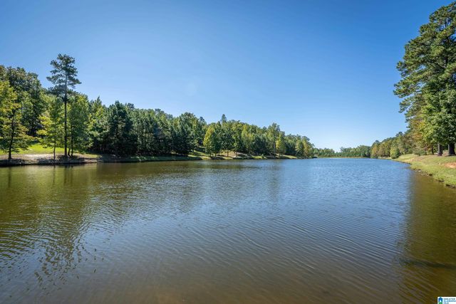 1125 OVERLOOK DRIVE, Trussville, AL 35173