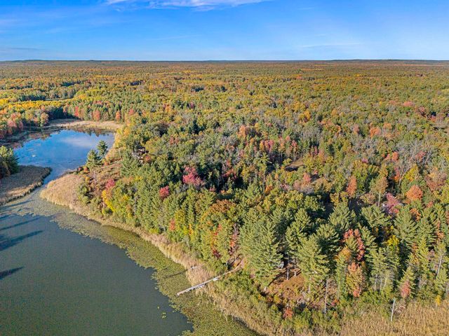 6483 S Emma Avenue, Pleasant Plains Twp, MI 49304