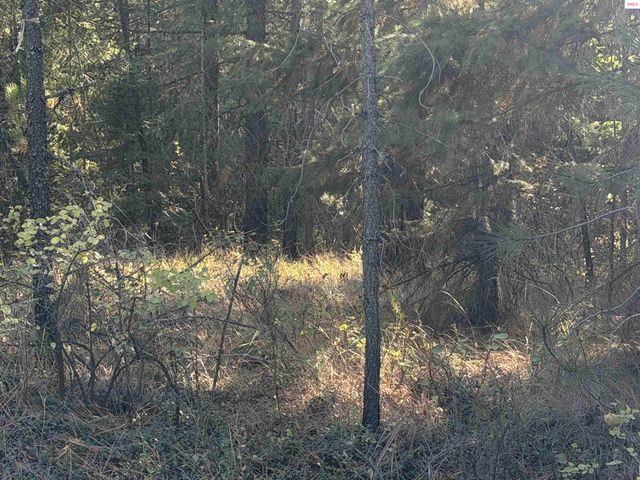 NNA Gray Eagle, Rathdrum, ID 83858 property photo