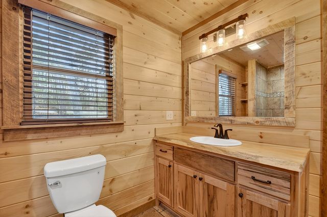 17 Dial Mountain Drive, Blue Ridge, GA 30513