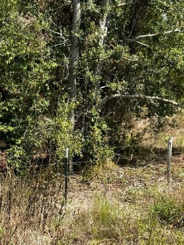TR 9 County Rd 240, Bonus, TX 77434