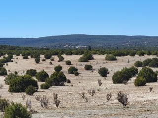140 Quiet Valley Drive, Estancia, NM 87016