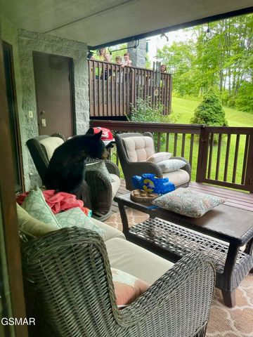 1155 Upper Alpine Way, Gatlinburg, TN 37738