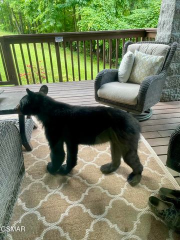 1155 Upper Alpine Way, Gatlinburg, TN 37738