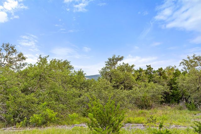 31860 Mirela Ann RD, Dripping Springs, TX 78620