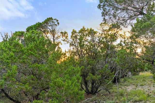 31860 Mirela Ann RD, Dripping Springs, TX 78620