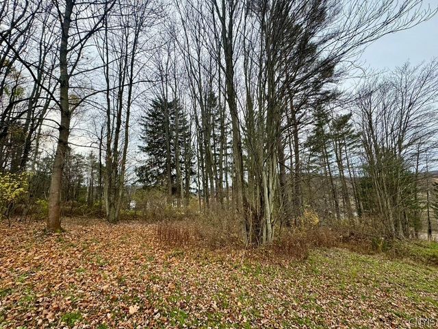 373B North Shore Road, Cuba, NY 14727