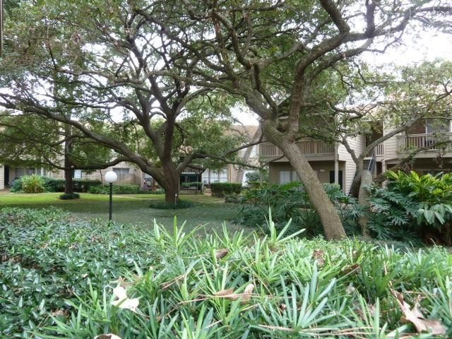 2100 Tanglewilde Street 538, Houston, TX 77063