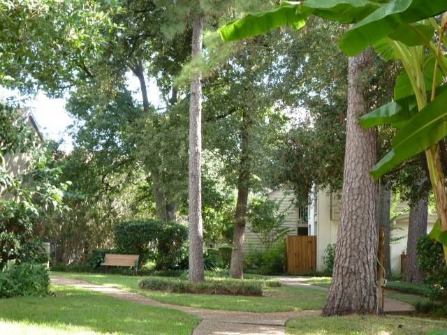 2100 Tanglewilde Street 538, Houston, TX 77063