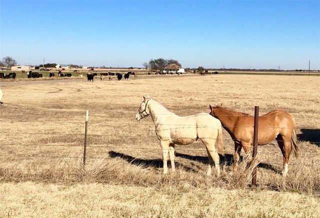 100 Navidad River DR, Hutto, TX 78634