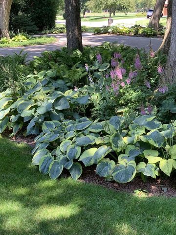 3341 N Chaucer Court, Janesville, WI 53545