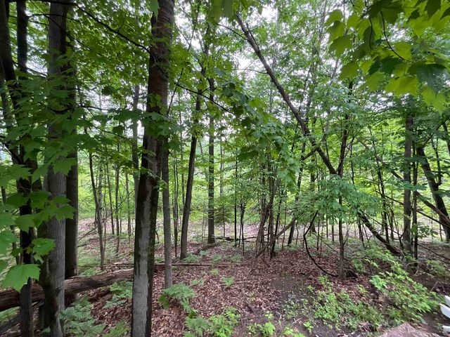 4737 Mary E Drive, Hill Twp, MI 48739