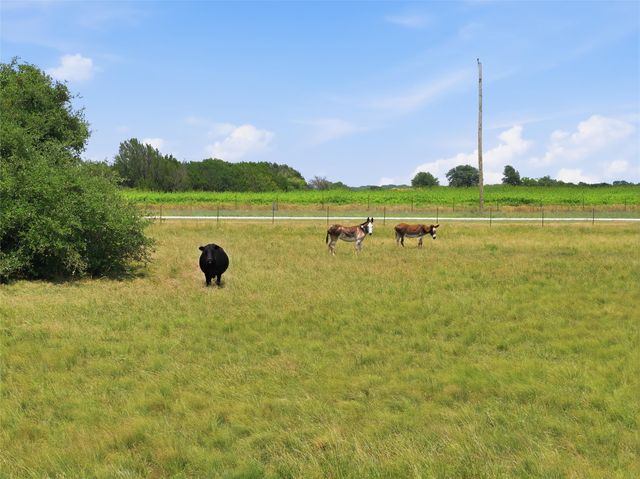 5835 N Fm 1744, Hico, TX 76457