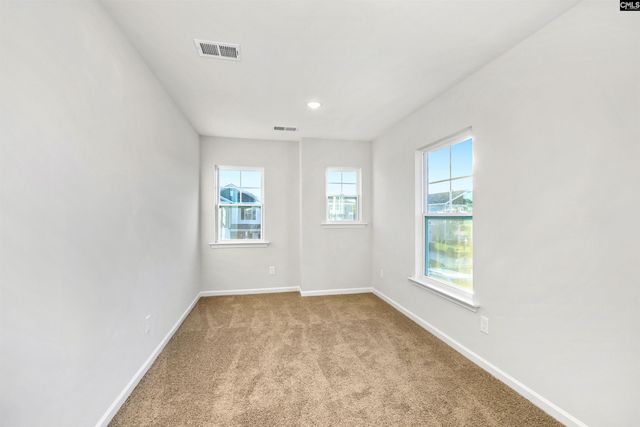 219 Bangalore Way, Gilbert, SC 29054