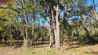 8117 W Catrina Lane, Crystal River, FL 34428