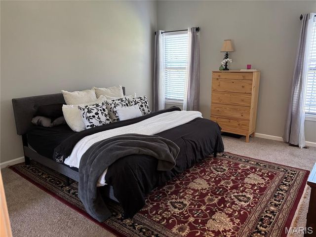 7986 Matterhorn Canyon Road, Caseyville, IL 62232