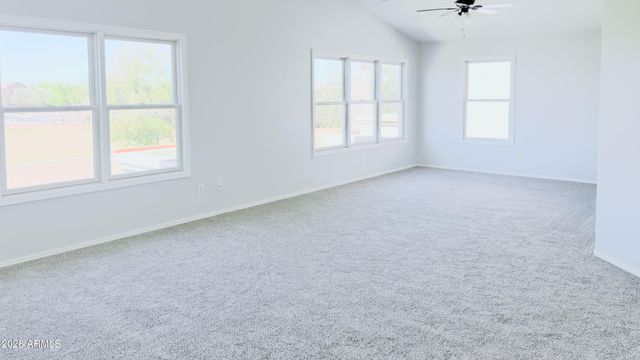 3560 N 292Nd Drive, Buckeye, AZ 85396