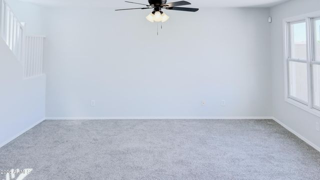 3560 N 292Nd Drive, Buckeye, AZ 85396