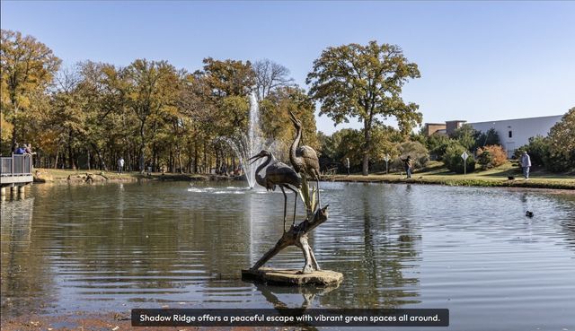 1625 Tree Line Road, Flower Mound, TX 75028