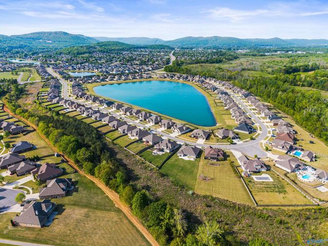 7437 Flint Crossing Circle, Owens Cross Roads, AL 35763