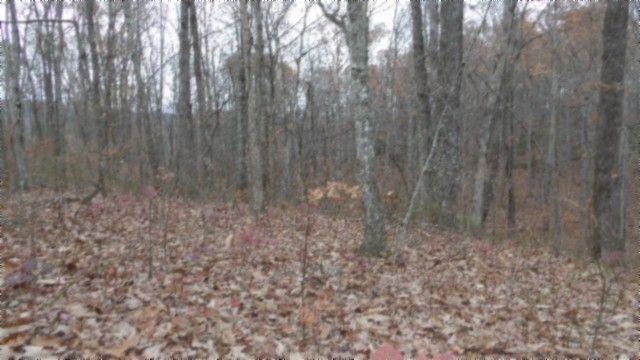 0 Cumberland Cove Rd, Monterey, TN 38574