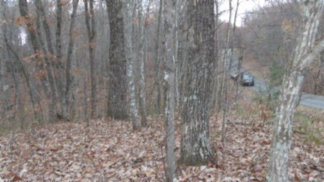 0 Cumberland Cove Rd, Monterey, TN 38574