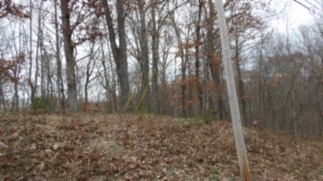 0 Cumberland Cove Rd, Monterey, TN 38574