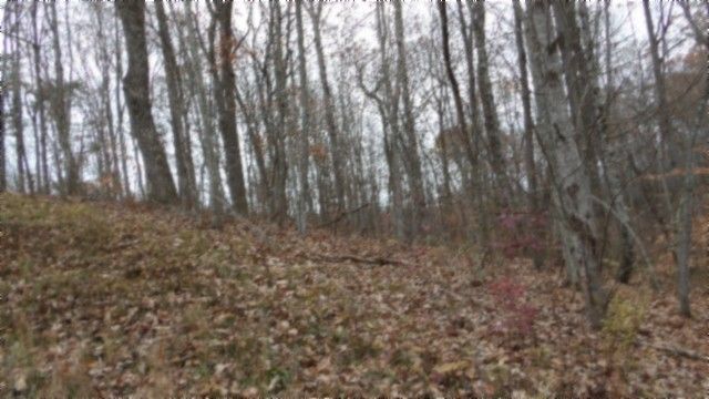 0 Cumberland Cove Rd, Monterey, TN 38574