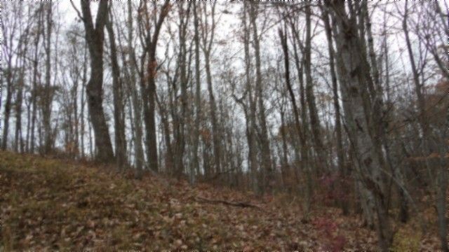 0 Cumberland Cove Rd, Monterey, TN 38574