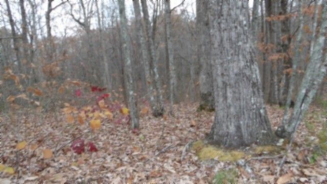 0 Cumberland Cove Rd, Monterey, TN 38574