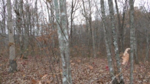 0 Cumberland Cove Rd, Monterey, TN 38574