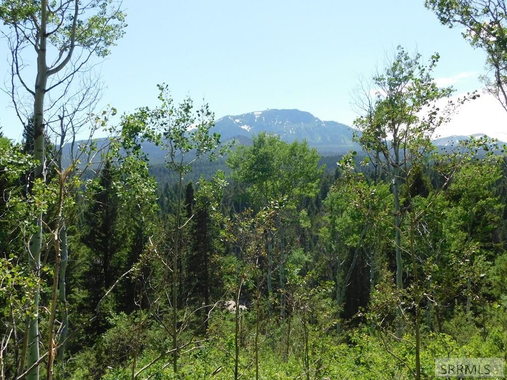 Image 1 of property listing at 4907 Shadow Wood, Island Park, ID 83429