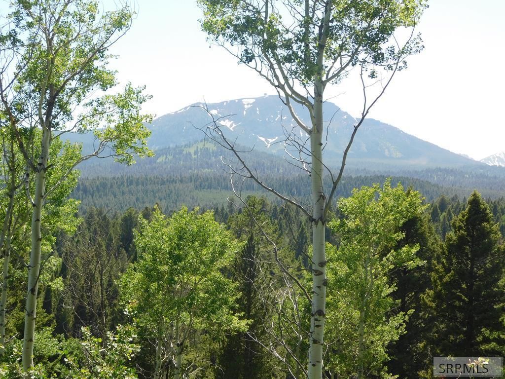 Image 2 of property listing at 4907 Shadow Wood, Island Park, ID 83429