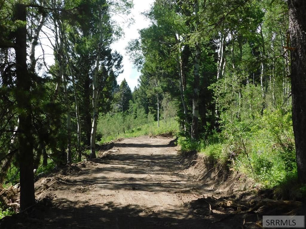 Image 4 of property listing at 4907 Shadow Wood, Island Park, ID 83429