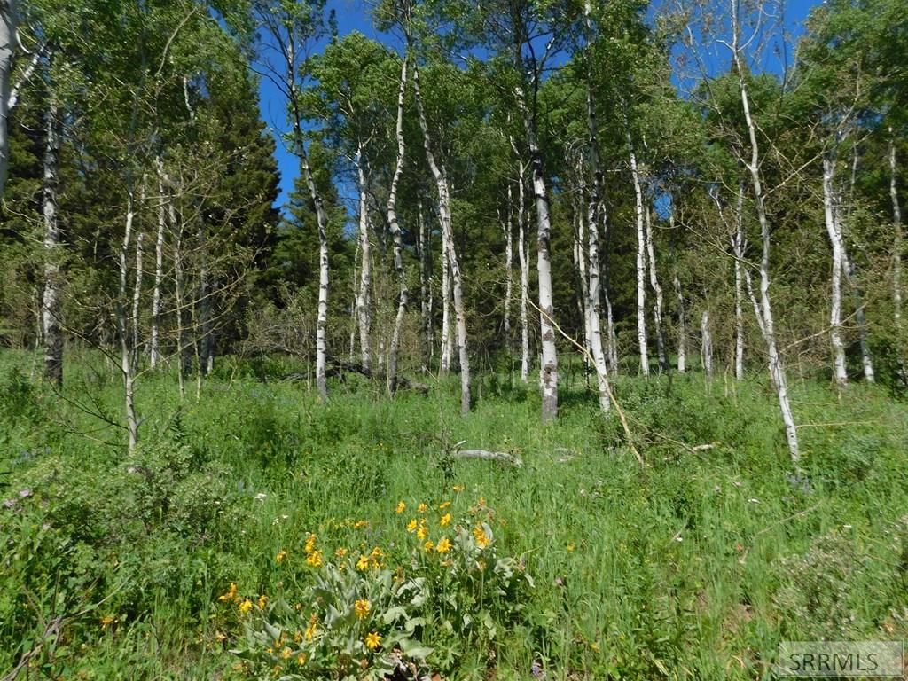 Image 5 of property listing at 4907 Shadow Wood, Island Park, ID 83429