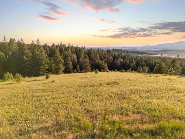 NNA S Mica Vista Ln Ln, Mica, WA 99023 property photo