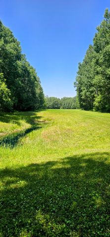 2965 Bankton Road SW, Victory Twp, MN 56623