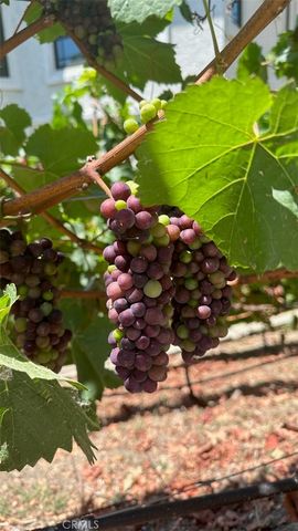 3202 Portico Del Norte, San Clemente, CA 92673