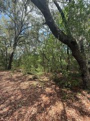 LOT 132 DUNCAN AVENUE, Interlachen, FL 32148