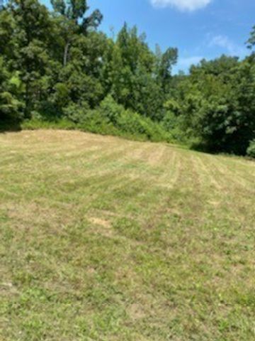 0 Love Branch Road, Hampshire, TN 38461