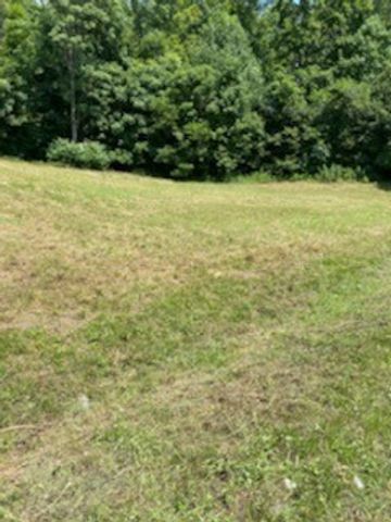 0 Love Branch Road, Hampshire, TN 38461