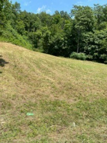 0 Love Branch Road, Hampshire, TN 38461