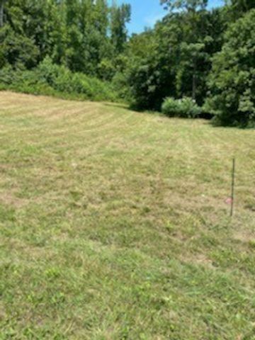 0 Love Branch Road, Hampshire, TN 38461