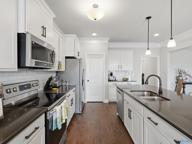 106 Ivy Vine Drive, Toney, AL 35773