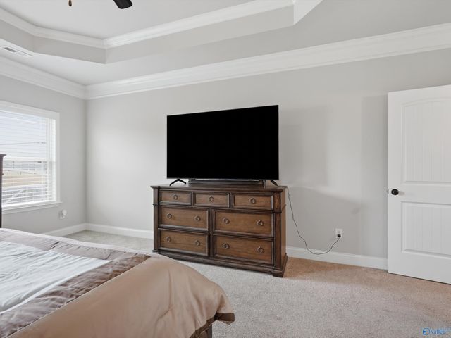 106 Ivy Vine Drive, Toney, AL 35773