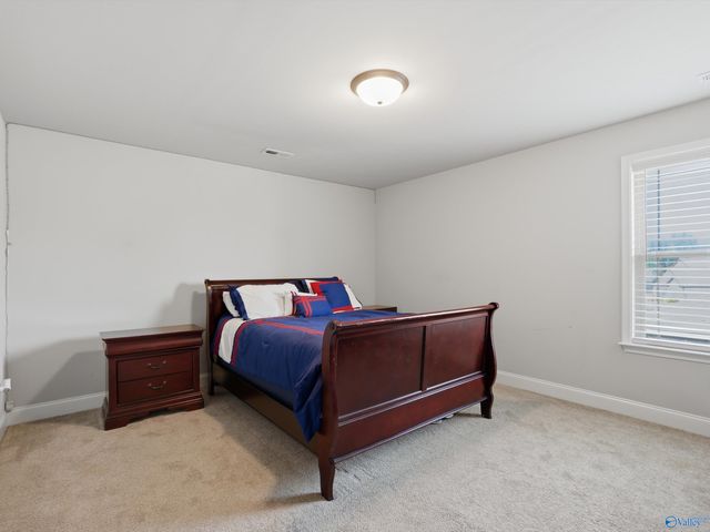 106 Ivy Vine Drive, Toney, AL 35773