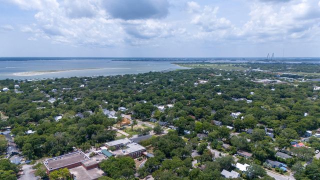 743 Sinlea Avenue, Mount Pleasant, SC 29464